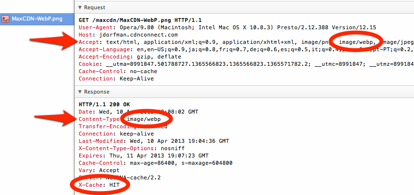 opera-dragon-fly-webp